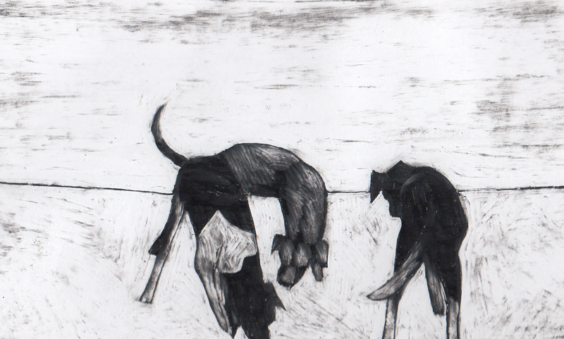 Simone-Massi-Memoria cani