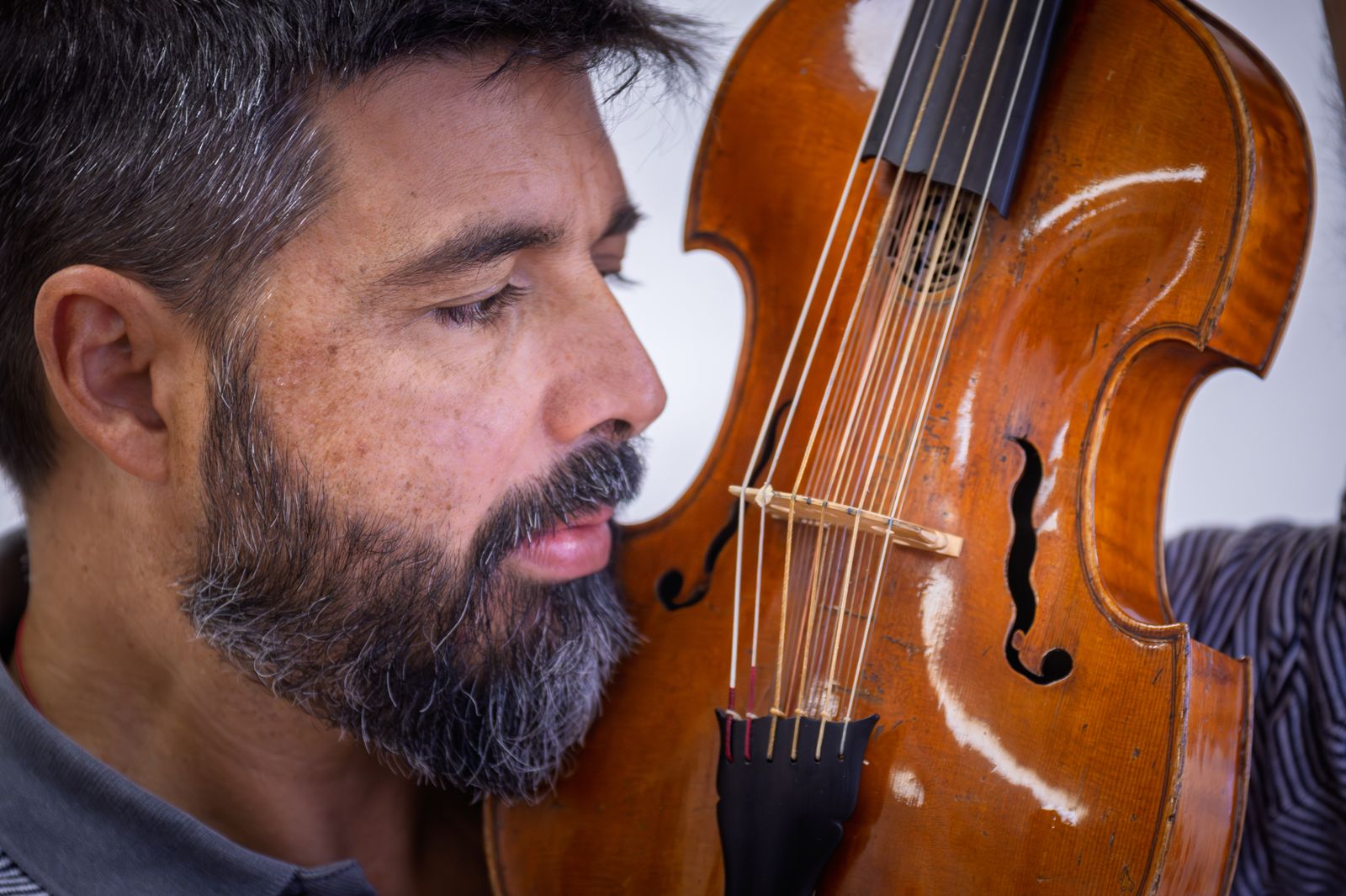Valerio Losito viola d’amore